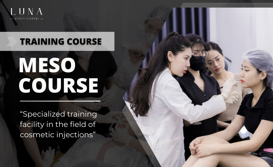 meso course