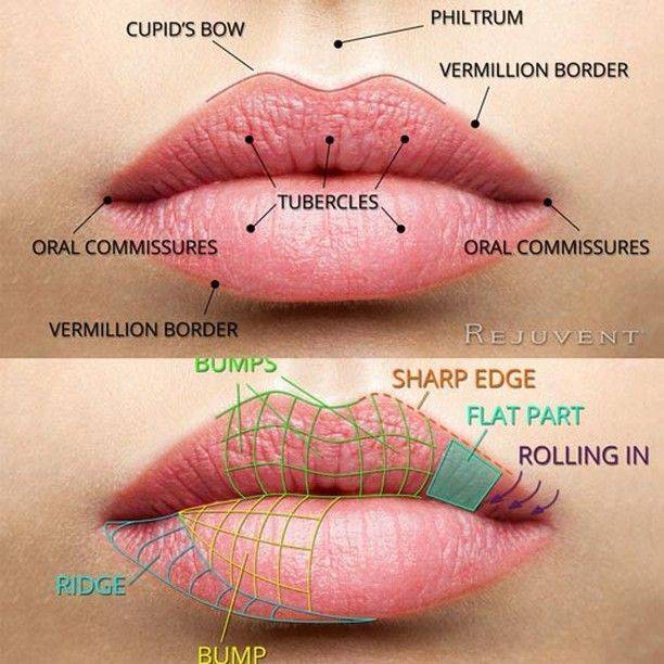 what not to do after lip injections