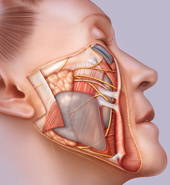 Choose the Right Injection Filler Course