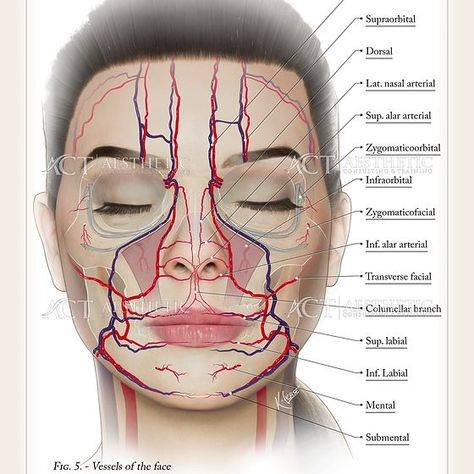 signs of nerve damage after filler