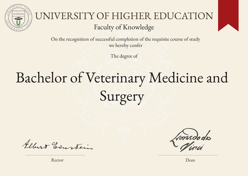 Bachelor of Surgery