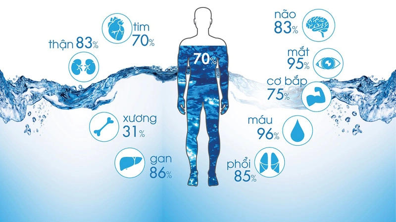 Drinking enough water can help maintain hydration levels in the body