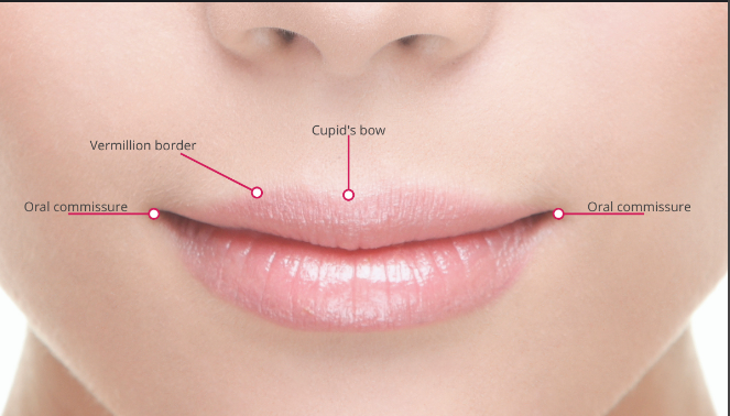 Filler Oral Commissures: Enhancing the Corners of Your Smile