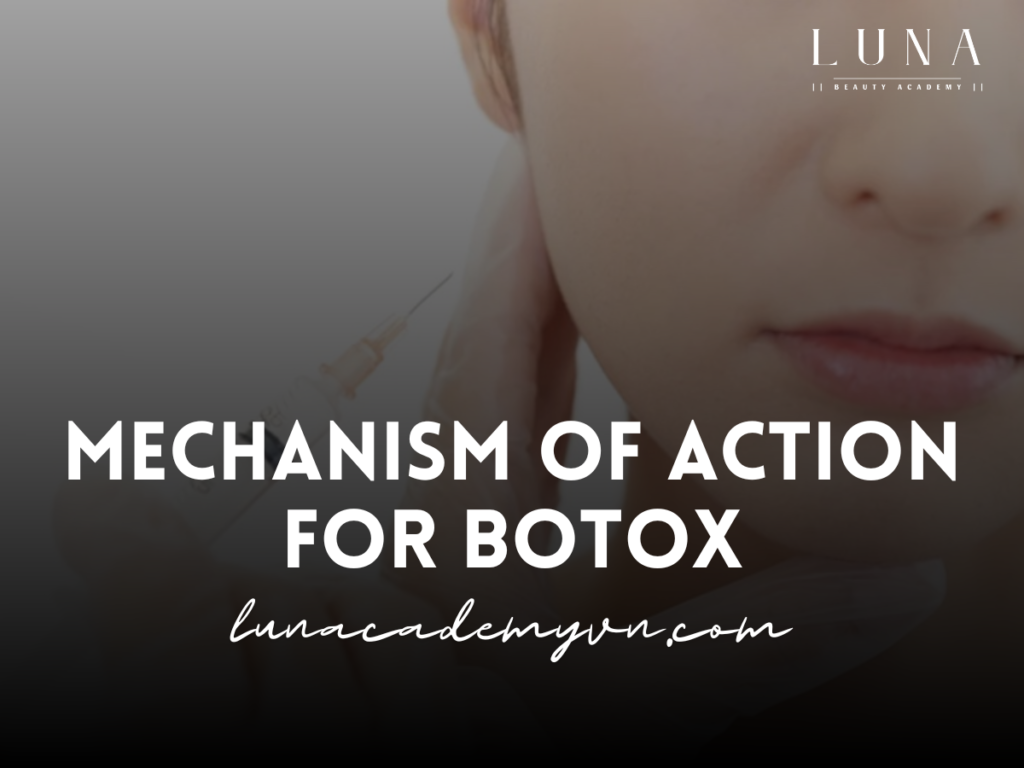 Mechanism of Action for Botox