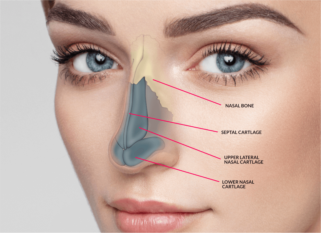 breakdown-of-costs-associated-with-nose-surgery