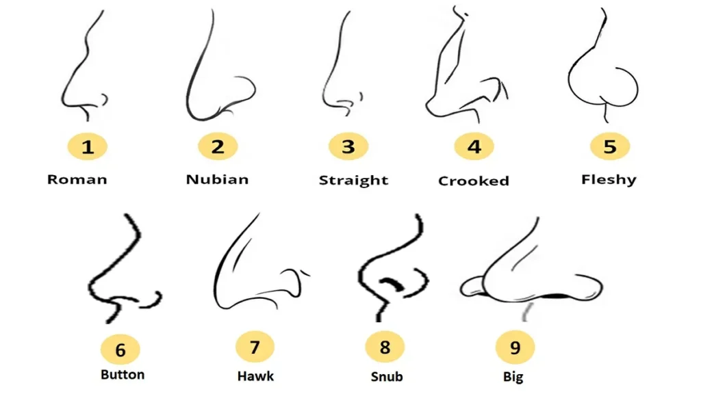 Changes in Nasal Shape