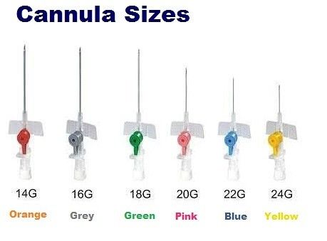 What’s a Cannula? A Comprehensive Guide to its Uses, Types