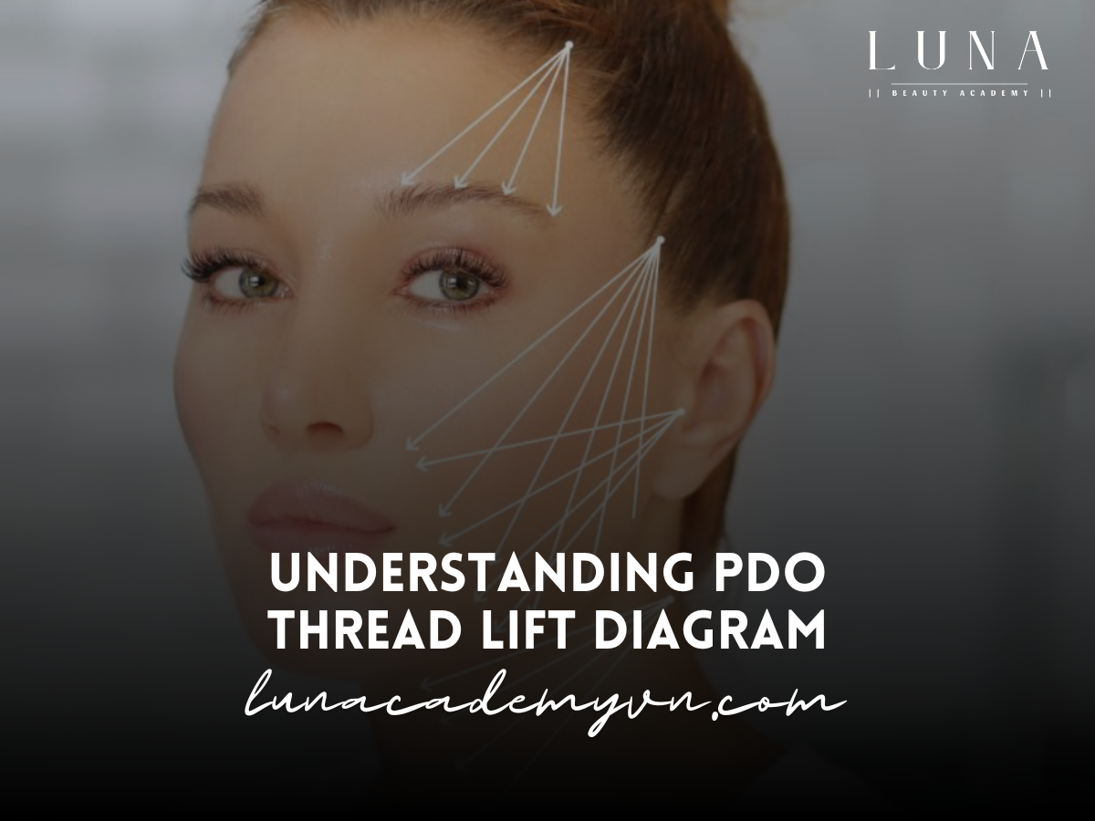 Understanding PDO Thread Lift Diagram