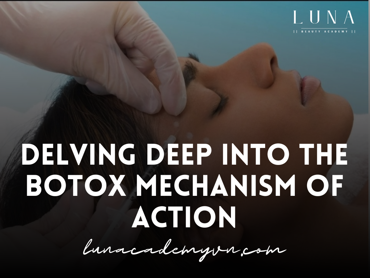 Delving Deep into the Botox Mechanism of Action